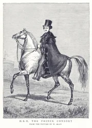 H.R.H. the Prince Consort
