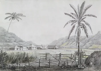 Halse Hall, Jamaica, c.1780