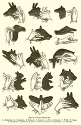 Hand Shadows