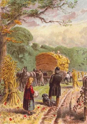 Harvesting in the Fields