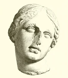 Head of Aphrodite