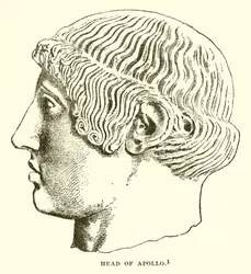 Head of Apollo