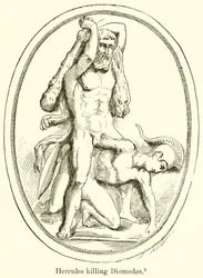 Hercules Killing Diomedes