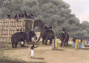 Hindoo Elephant Trap, Pub. by Edward Orme