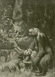 Home of the Gorilla (engraving)