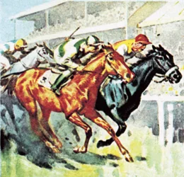 Horseracing