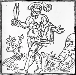 I Will Wear, I Cannot Tell What, c.1542