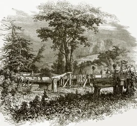 Indian Sepulchres on the Banks of the Cowlitz River