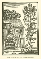 Jack Spriggins and the Enchanted Bean