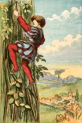 Jack Climbs the Beanstalk