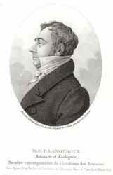 Jean Vincent Félix Lamouroux