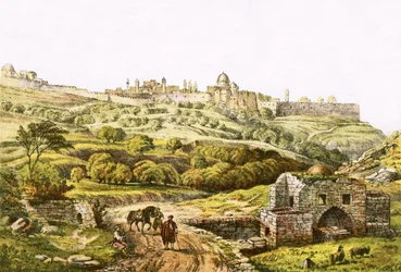 Jerusalem from Job