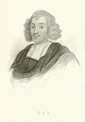 John Ray
