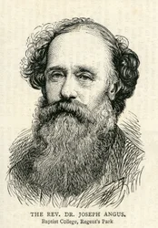 Joseph Angus illustration from The Graphic 10th July, 1875