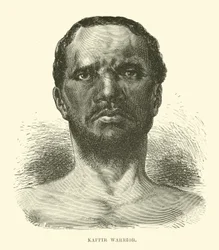 Kaffir Warrior