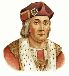 King Henry VII