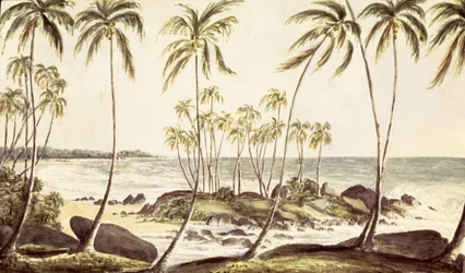 Kosgoda Beach, Ceylon, c.1835