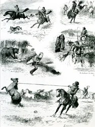 Life in Manitoba, 1877