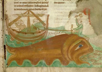 A Whale with a Sailor Hammering a Stake into its Head, detail from an English Bestiary, early 13th century