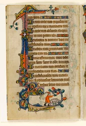 A Swineherd Knocking Down Acorns for a Pig, Marginal Decoration from the Macclesfield Psalter, Use of Sarum, East Anglia (c.1330)