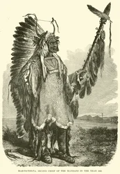 Mah-to-toh-pa, Second Chief of the Mandans in the year 1883