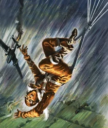 Man Falling with Parachute