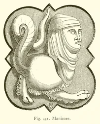 Manicore