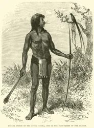 Mesaya Indian of the River Japura, one of the Tributaries of the Amazon