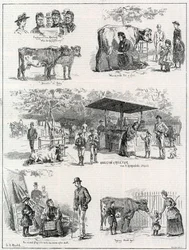 Milk Fair in St James