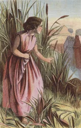Miriam Watching the Ark