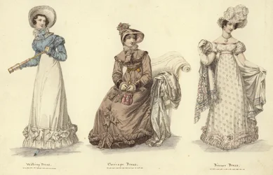 Mirror of Fashion
