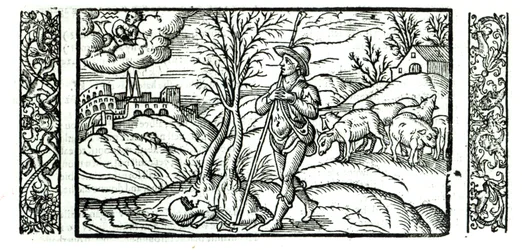 Month of January from a Shepherd