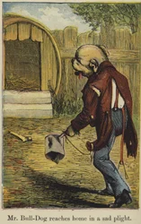 Mr. Bull-Dog Reaches Home in a Sad Plight
