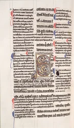 Page from a glossed copy of the New Testament