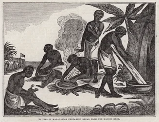 Natives of Madagascar Preparing Bread from Manioc Root