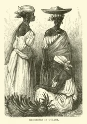 Negresses in Guiana
