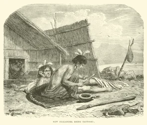 New Zealander Being Tattooed