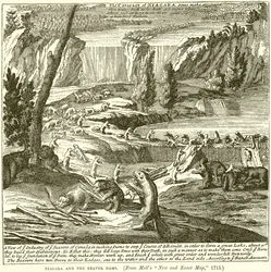 Niagara and the Beaver Dams