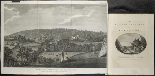 North East View of Selbourne