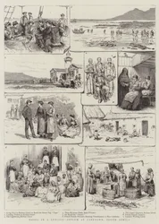 Notes in a Lunatic Asylum at Capetown, South Africa