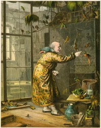 Old man in his aviary