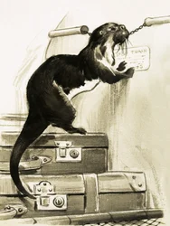 Otter Stopping the Train
