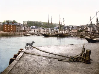 Padstow Quay