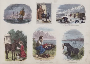 Page from the Attractive Picture Book