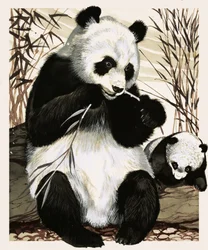 Panda and cub