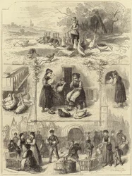 Pâté de Foie Gras at Strasbourg