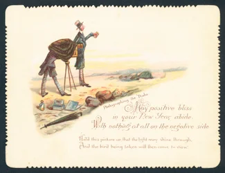 Photographing the dodo