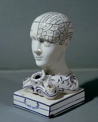 Phrenological Head by Dr. Frederick Bridges