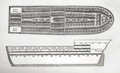 Plan Showing How Slaves Were Transported on Board a Slave Ship in the 18th Century
