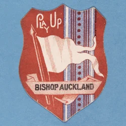 Play Up Bishop Auckland